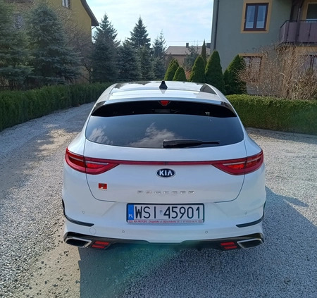 Kia Pro_cee'd cena 114800 przebieg: 79350, rok produkcji 2020 z Siedlce małe 154